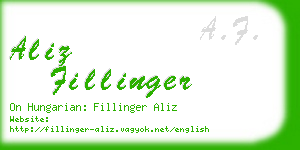 aliz fillinger business card